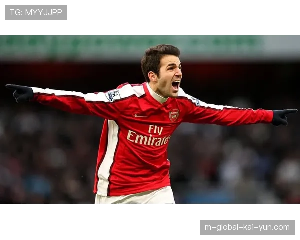 阿森纳阵容稳定无忧，仅替补门将海因一人合同今夏到期